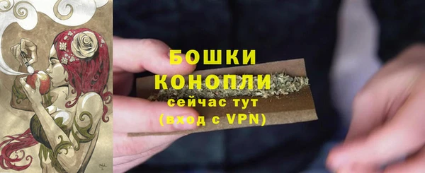 дживик Зеленодольск