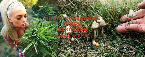 дурь Зеленокумск