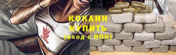 дживик Зеленодольск