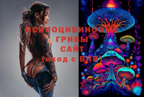 дживик Зеленодольск